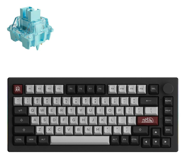 Akko Dracula Castle 5075B Plus - V3 Cream Blue Pro - 1289377 - zdjęcie 2